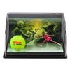 Image 1 : Serena Williams Signed 5.5x7x11 Custom Framed Limited Edition Curve Photo Display (UDA COA)
