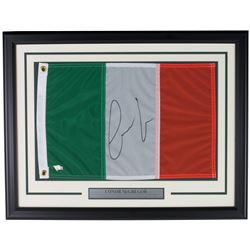 Conor McGregor Signed 20x26 Custom Framed Irish Flag Display (Fanatics Hologram)
