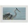 Image 1 : Robert Bateman's "Lunging Heron" Limited Edition Print