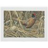 Image 1 : Robert Bateman's "Strutting - Ring-Necked Pheasant" LE