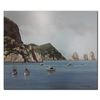 Image 1 : Bill Saunders' 'Isle of Capri' Original