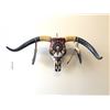 Image 1 : Jason Hawk / Iroquois' "Sun Spirit" Buffalo Skull