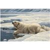 Image 1 : Robert Bateman's "Arctic Family - Renaissance Edition"