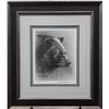 Image 4 : Robert Bateman's "Black Bear Foraging" LE Prints