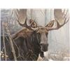 Image 1 : Robert Bateman's "Bull Moose - Renaissance Edition" LE