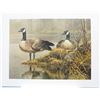 Image 1 : Robert Bateman's "Canada Geese Nesting" LE Print