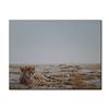 Image 1 : Robert Bateman's "Cheetah Siesta" LE Canvas