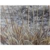 Image 2 : Robert Bateman's "Cheetah Siesta" LE Canvas