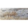 Image 3 : Robert Bateman's "Cheetah Siesta" LE Canvas