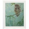 Image 1 : Robert Bateman's "Continuing Generations - Spotted Owl"