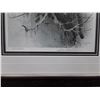 Image 3 : Robert Bateman's "Cougar in Tree", "Young Cougar", and