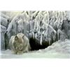 Image 1 : Robert Bateman's "Dozing Lynx" Limited Edition Canvas