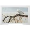 Image 1 : Robert Bateman's "Fallen Willow - Snowy Owl" LE Print