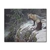 Image 1 : Robert Bateman's "Fox Crossing" LE Canvas