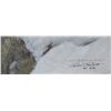 Image 2 : Robert Bateman's "Fox Crossing" LE Canvas