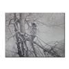 Image 1 : Robert Bateman's "Ghost of The North - Great Gray Owl"