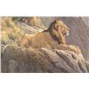 Image 1 : Robert Bateman's "King of the Realm" LE Print