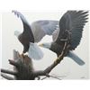Image 1 : Robert Bateman's "Landings - Bald Eagles" LE Canvas