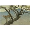 Image 1 : Robert Bateman's "Lewa Cheetah" LE Canvas