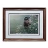 Image 1 : Robert Bateman's "Meadows Edge- Mallard" LE Print