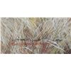 Image 2 : Robert Bateman's "Moose in Moonlight" LE Canvas