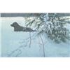 Image 1 : Robert Bateman's "Off The Leash" LE Canvas