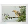 Image 1 : Robert Bateman's "Red Tailed Hawk By The Cliff" L.E.