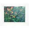 Image 1 : Robert Bateman's "Ruby-Throat and Columbine" LE Print