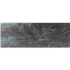 Image 2 : Robert Bateman's "Siberian Clearing- Mother and Child"