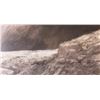Image 3 : Robert Bateman's "Sleeping Snow Leopard" LE Canvas