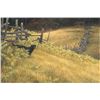Image 1 : Robert Bateman's "Smallwood" Limited Edition Canvas