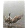 Image 1 : Robert Bateman's "Stretching - Canada Goose" LE Canvas