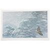 Image 1 : Robert Bateman's "Sudden Blizzard - Red-Tailed Hawk" LE