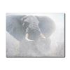 Image 1 : Robert Bateman's "Tembo" Showstopper Canvas