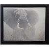 Image 1 : Robert Bateman's "Tembo" Limited Edition Canvas