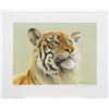 Image 1 : Robert Bateman's "Tiger Portrait" Limited Edition Print