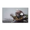Image 1 : Robert Bateman's "Vantage Point- Bald Eagle" LE Canvas