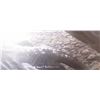 Image 2 : Robert Bateman's "Vantage Point- Bald Eagle" LE Canvas