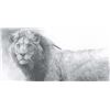 Image 1 : Robert Bateman's "Warrior" LE Canvas