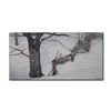 Image 1 : Robert Bateman's "Window Into Ontario" LE Canvas