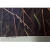 Image 3 : Three (3) Limited Edition Prints Signed and Numbered