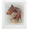 Image 1 : Fred Stone's "Cam Fella" Limited Edition Print