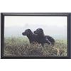 Image 1 : John Weiss's "One Morning in October" L.E. Canvas