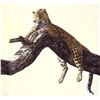 Image 1 : Simon Combes' "Chui" Limited Edition Lithograph