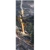 Image 1 : Stephen Lyman's "Thunderbolt" Limited Edition Print