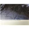 Image 2 : Stephen Lyman's "Wilderness Welcome" L.E. Canvas