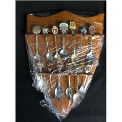 COLLECTOR SILVER SPOONS DISPLAY (VARIOUS SPOONS)