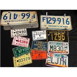 COLLECTIBLE LICENSE PLATE LOT (VARIOUS PLATES)