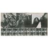 Image 2 : Pink Floyd