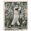 Image 2 : Joe DiMaggio